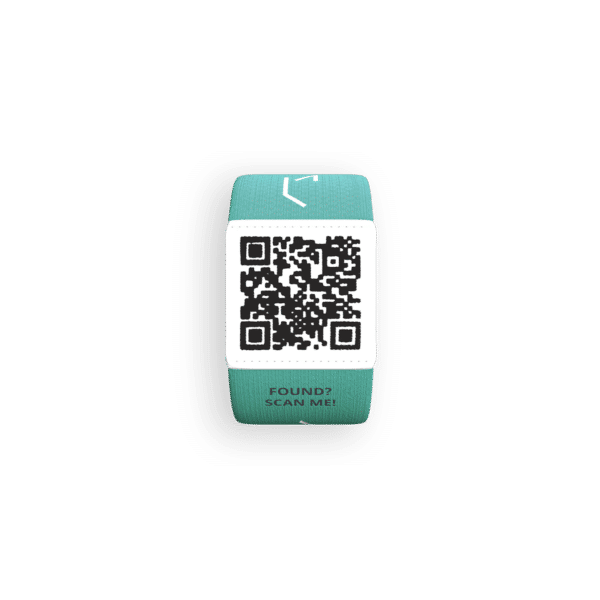 Elastic GREEN Shopify
